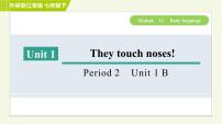 英语外研版 (新标准)Unit 1 They touch noses!习题ppt课件