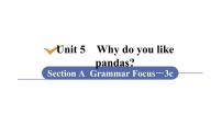 初中英语人教新目标 (Go for it) 版七年级下册Unit 5 Why do you like pandas?Section A教学演示ppt课件