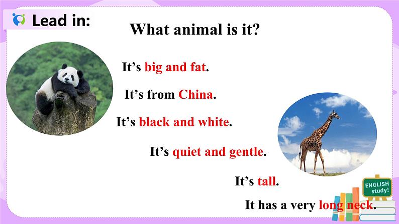Unit 5 Section A Grammar Focus-3c课件+教案+练习+音频 人教版英语七年级下册03