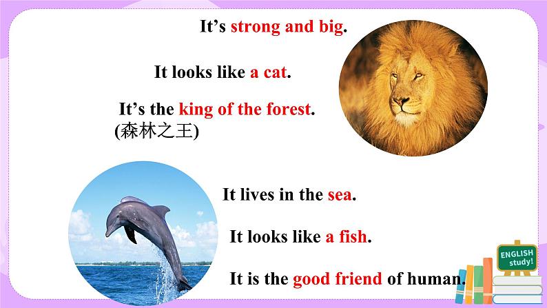 Unit 5 Section A Grammar Focus-3c课件+教案+练习+音频 人教版英语七年级下册04