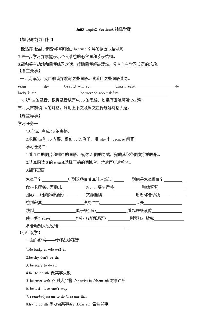 Unit5 Feeling excited_Topic2_SectionA精品学案第1页