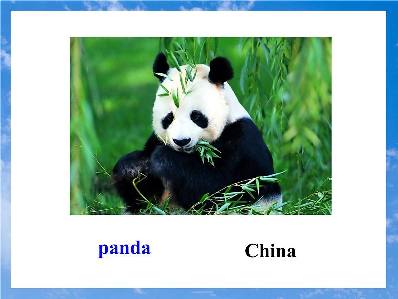 人教新目标七年级英语下册课件--Unit 5Why do you like pandas Section B (1a- 2c)课件+音频08