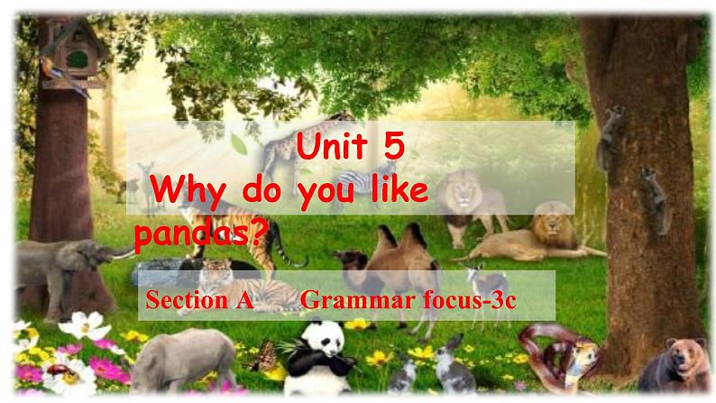 Unit5SectionA(GrammarFocus-3c)课件人教版七年级英语下册01