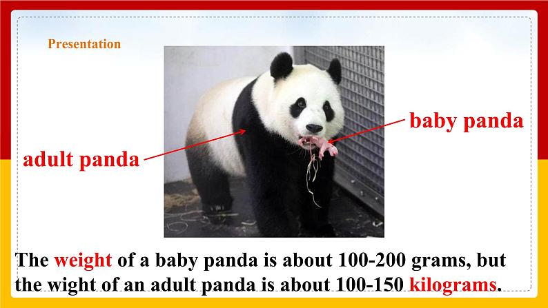 Unit 5 Period 1 Reading I(课件+教案+学案+练习)06