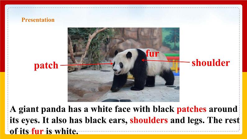 Unit 5 Period 1 Reading I(课件+教案+学案+练习)07