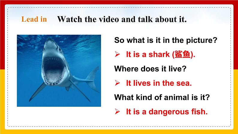Unit 3 Our animal friends Period 5 More practice & culture corner课件PPT+教案+学案+练习03