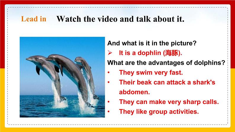 Unit 3 Our animal friends Period 5 More practice & culture corner课件PPT+教案+学案+练习04