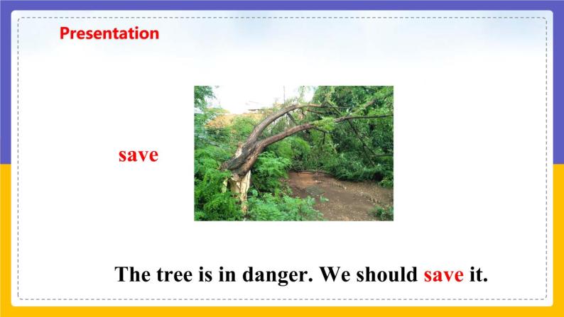 Unit 4 Save the trees Period 1 Reading I课件+教案+学案+练习08