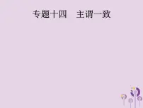 中考英语总复习二轮专题复习语法专项突破专题14《主谓一致》课件(含答案)