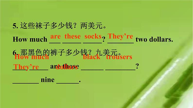 2021-2022学年人教新目标版英语七年级上册Unit 7 Section A Grammar Focus-3c 课件第7页