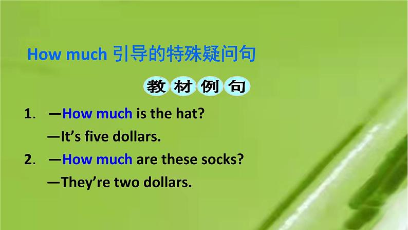 2021-2022学年人教新目标版英语七年级上册Unit 7 Section A Grammar Focus-3c 课件第8页