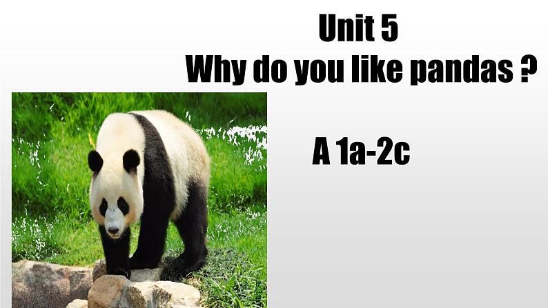 Unit 5 Section A 1a-2c - 第1页