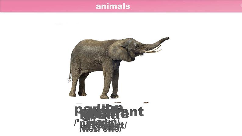 Unit 5 Section A 1a-2c - 第6页