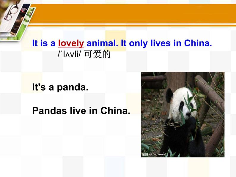 冀教版(三起)英语七年级上册 Unit 8 Countries around the World Lesson 45 China(课件)第6页