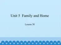 冀教版（三起）英语七年级上册 Unit 5  Family and Home-Lesson 30_（课件）