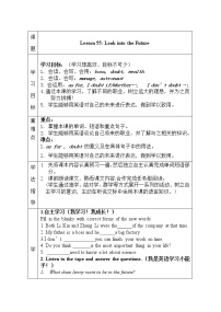 冀教版（三起）英语八年级下册 such 和so 的用法探究（教案）