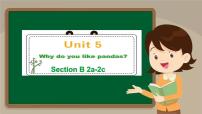 初中英语Unit 5 Why do you like pandas?Section B课文内容课件ppt
