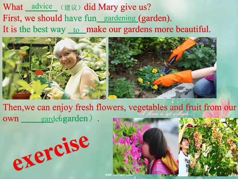 冀教版(三起)英语八年级下册 Gardening with Mary(课件)06
