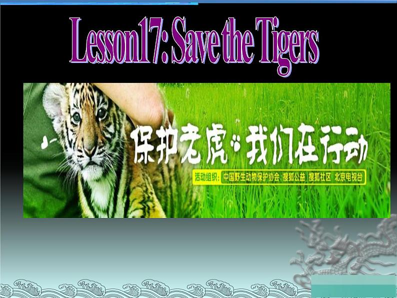 冀教版(三起)英语八年级下册 Save the Tiger(课件)第5页