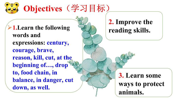 冀教版(三起)英语八年级下册 Lesson 17 Save the Tigers (课件)05