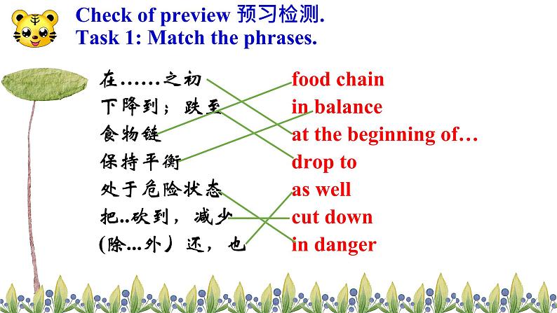 冀教版(三起)英语八年级下册 Lesson 17 Save the Tigers (课件)08