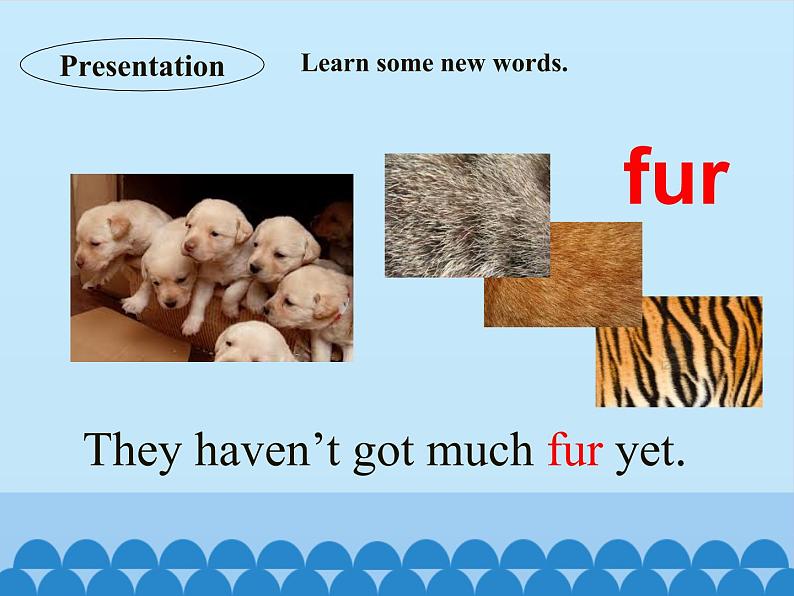 冀教版(三起)英语八年级下册 Unit 3 Animals Are Our Friends Lesson 17_(课件)第3页