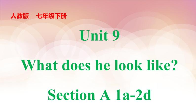Unit 9 What does he look like_ Section A 1a-2d  课件教案01