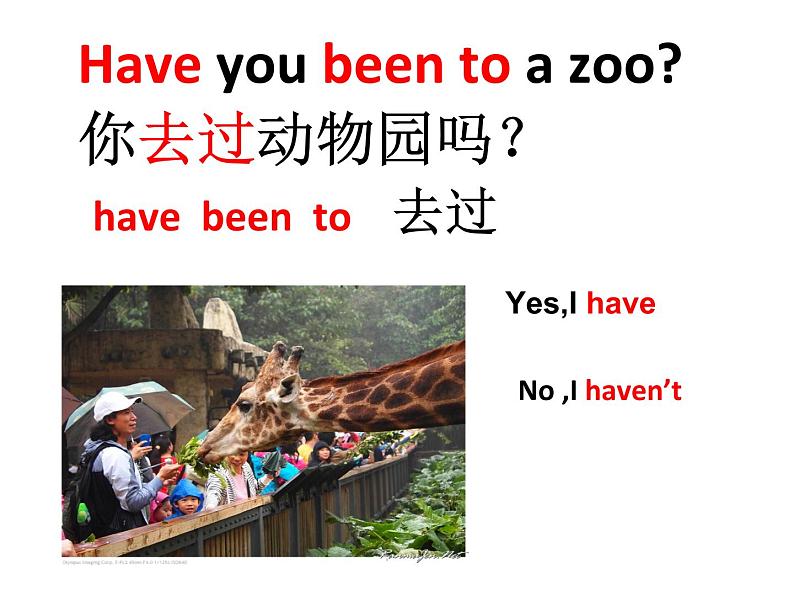 人教新目标(Go for it)版英语八年级下册 Unit 9 Have you ever been to a museum Section A(1)(课件)05