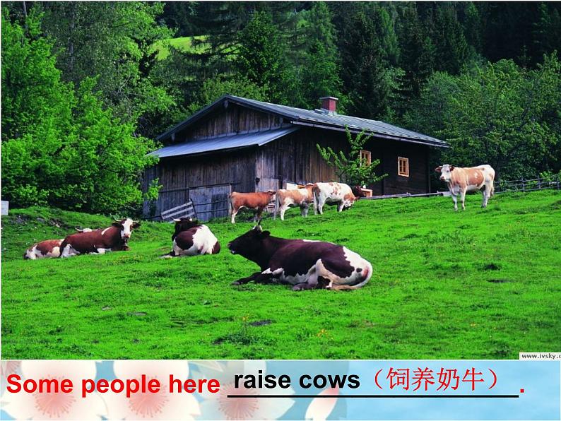 2020-2021学年牛津译林版英语七年级下册Unit 3 Welcome to Sunshine Town Reading 2 A video about Sunshine Tow Task:My hometown 课件第6页