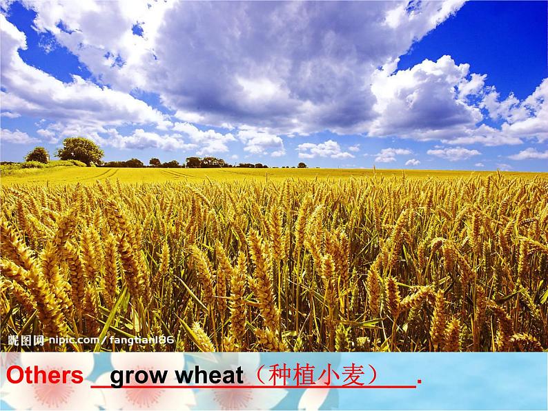 2020-2021学年牛津译林版英语七年级下册Unit 3 Welcome to Sunshine Town Reading 2 A video about Sunshine Tow Task:My hometown 课件第7页