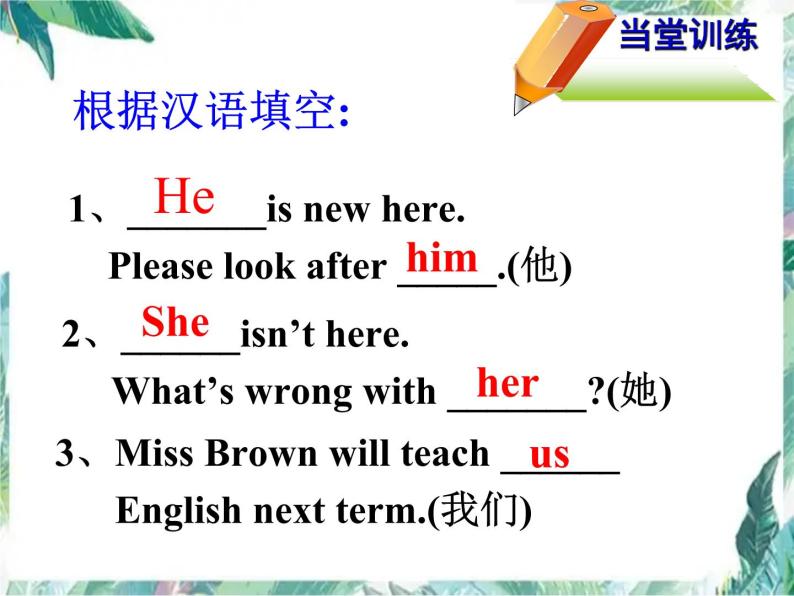 中考英语专项复习 代词的复习 优质课件04