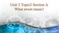 初中Topic 2 What sweet music!教学演示ppt课件