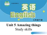 牛津译林版七下英语Unit 5 Amazing things Study skills课件