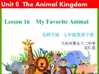 初中英语北师大版7B Lesson16 My favorite animal部优课件