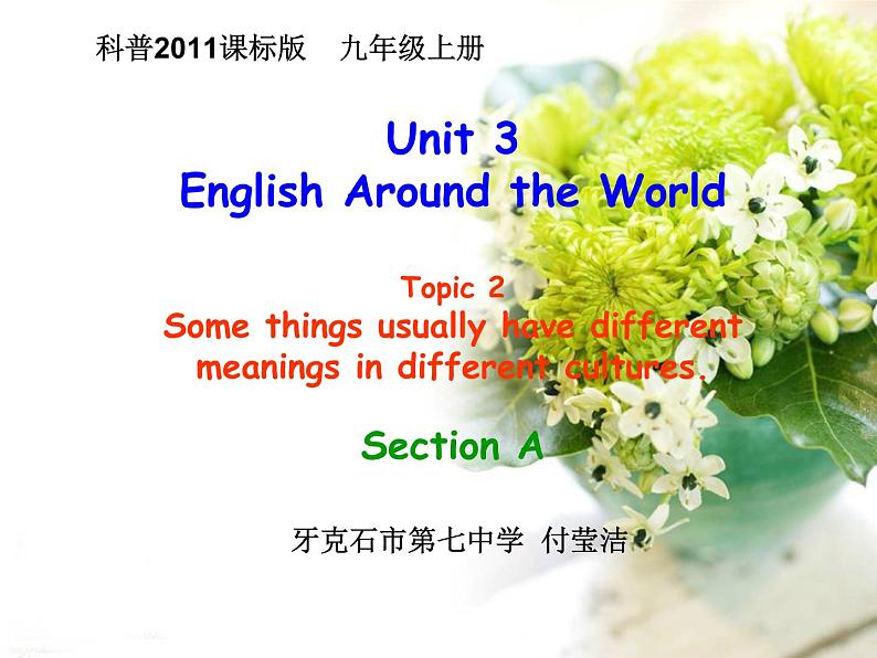 初中英语科普版(仁爱)9A Section A Unit3 Topic 2 Section A english around the world部优课件01