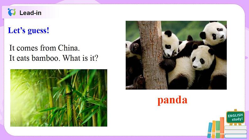 Does it eat meat 课件第3页