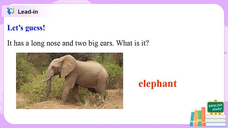 Does it eat meat 课件第5页
