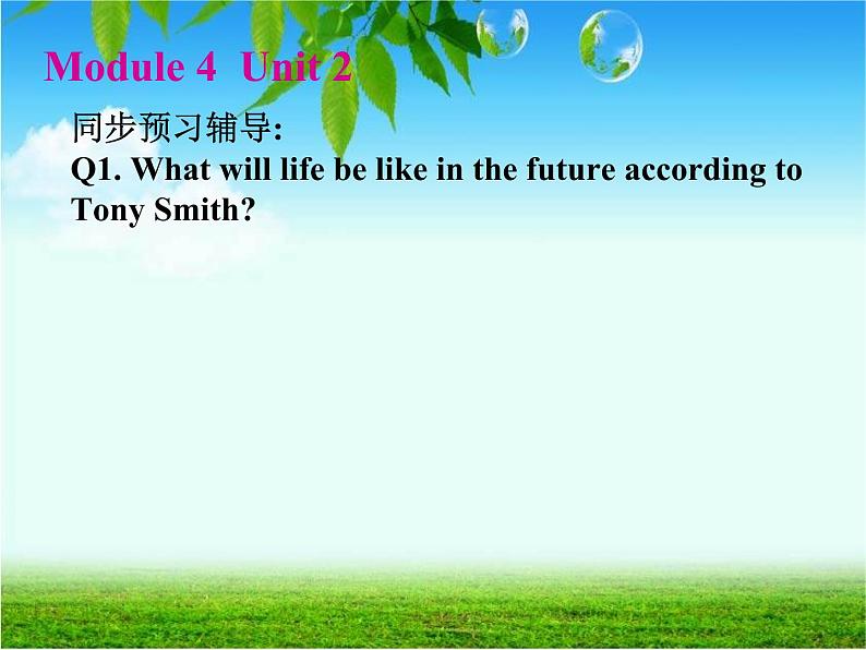 外研版七年级英语下册课件:M4U2Everyfamilywillhaveasmallplane(共56张PPT)第2页