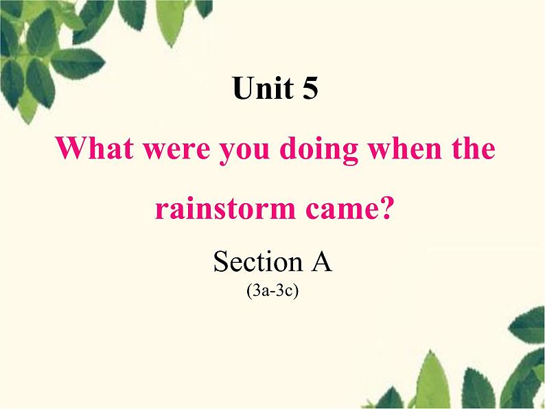 Unit 5 What were you doing when the rainstorm came_ Section A (3a-3c)-课件(16张PPT)01