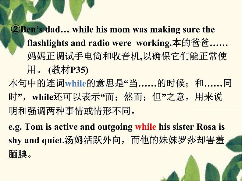 Unit 5 What were you doing when the rainstorm came_ Section A (3a-3c)-课件(16张PPT)07