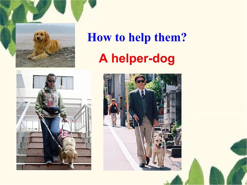 Unit 2 I'll help to clean up the city parks.Section B (1a-2d)-课件(共28张PPT,无音频)04