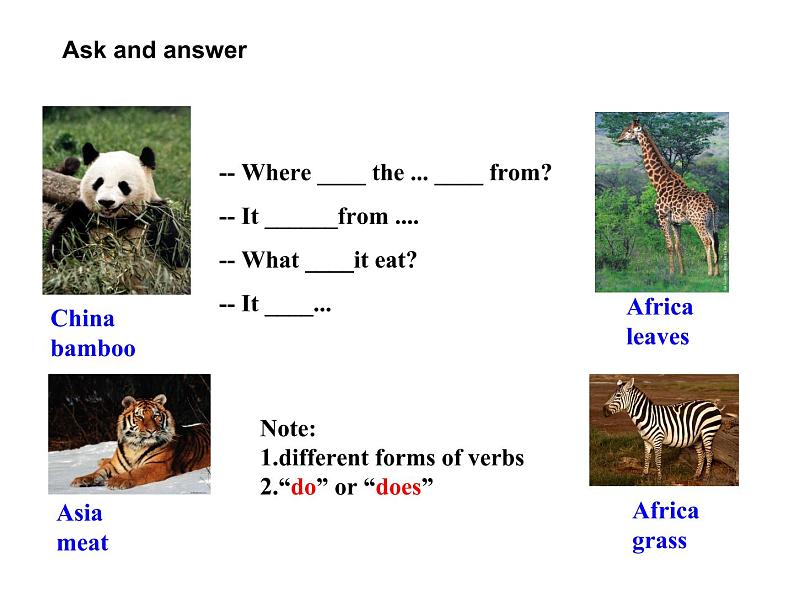 七年级外研版英语上册课件:module 6 unit 2 the tiger lives in asia(共23张ppt)第2页