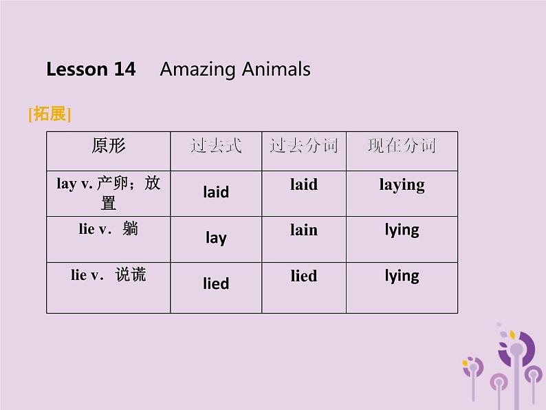 冀教版八年级英语下册Unit 3课件 lesson 14第8页