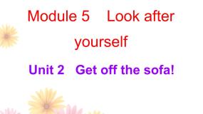 英语九年级下册Unit 2 Get off the sofa!教学ppt课件