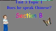 仁爱科普版七年级上册Topic 1 Does he speak Chinese?课文内容ppt课件