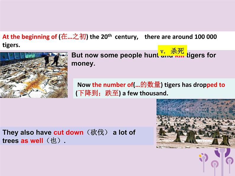 冀教版八年级英语下册Unit 3课件 lesson 1703