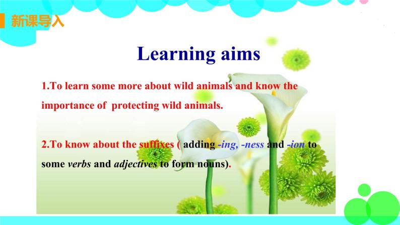 译林八年級英語上冊 Unit 5 Wild animals 课时6 PPT课件+教案03