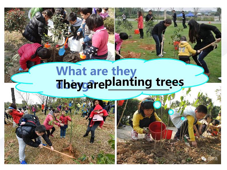 深圳沪教牛津版七下 U4 Save the trees Writing第3页