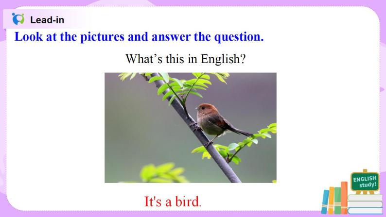 Starter Module3 Unit1 What's this in English 课件 PPT+教案07