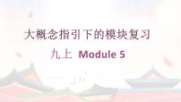外研社九年級(jí)上冊(cè)復(fù)習(xí)Module 5模塊總